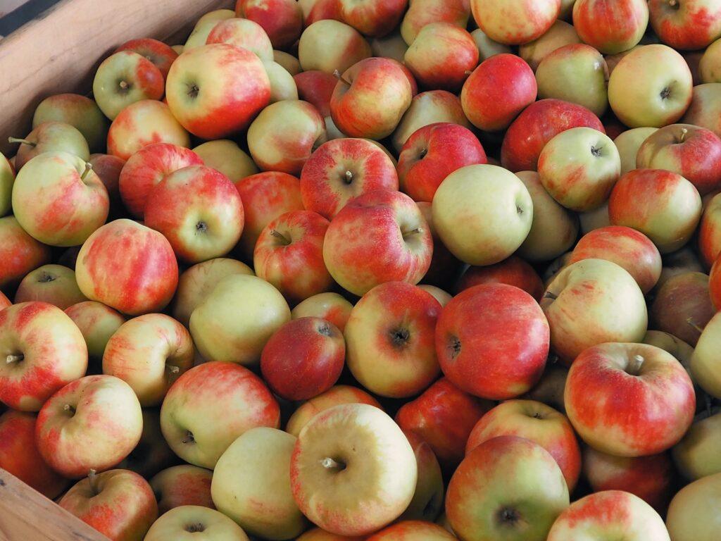 Apple harvest in wooden box